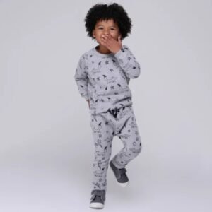 Ensemble gris renard